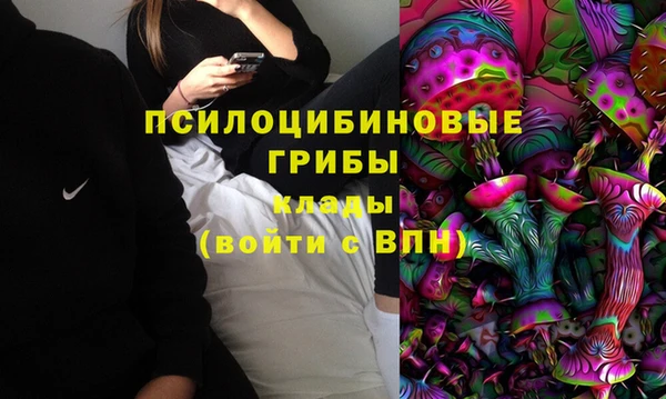 ешки Зеленокумск