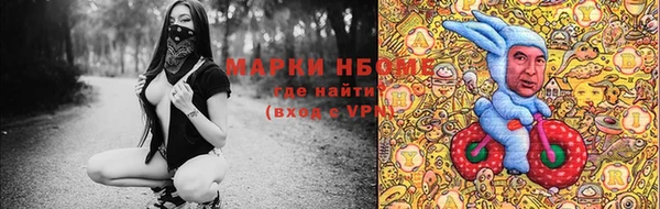 СК Зерноград