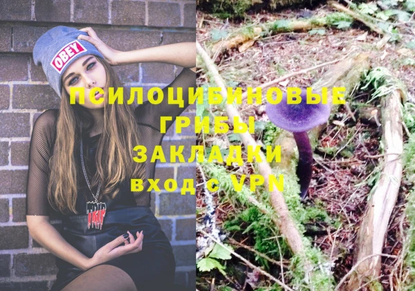 ешки Зеленокумск