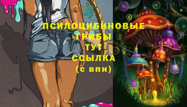 ешки Зеленокумск