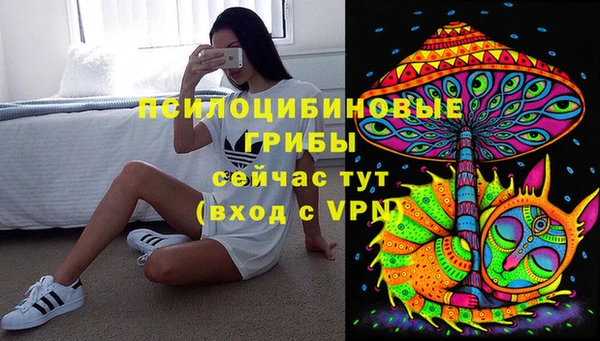МДПВ Инта