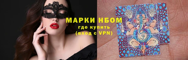 СК Зерноград
